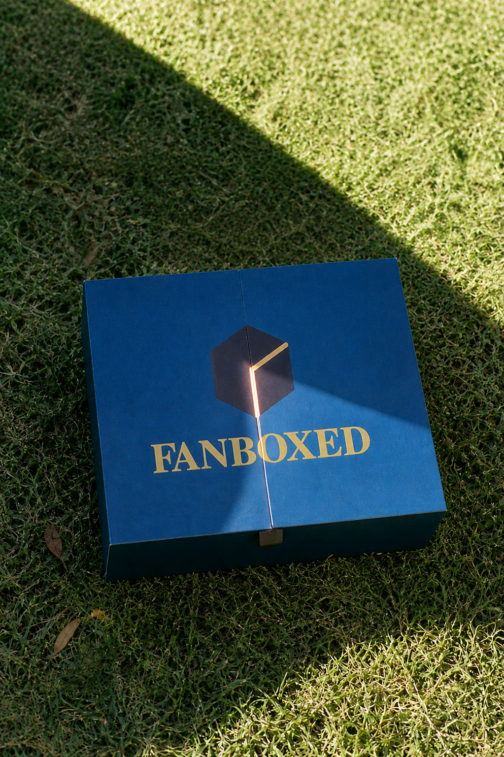 FANBOXED – Harry Potter Curated Gift Box - Books Edition